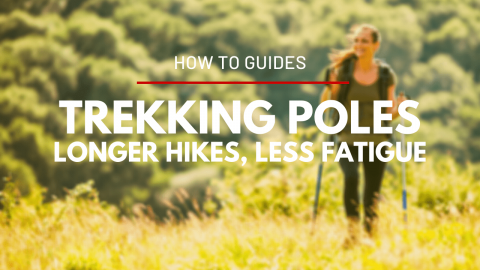 Proper Use of Trekking Poles, the Key to Longer Hikes with Less Fatigue